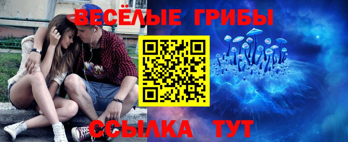 Галлюциногенные грибы мицелий  Вход с VPN  Камень-на-Оби 